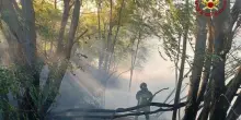 Incendio in campeggio a Castiglione Pescaia, 600 evacuati
