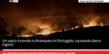 Gli incendi stanno devastando Portogallo e Spagna