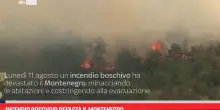 Incendio boschivo devasta il Montenegro