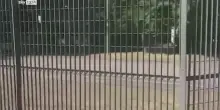 Bologna, smantellate due bande di ladri d'appartamenti
