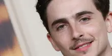 David Donatello: Timothee Chalamet riceverà un premio Speciale