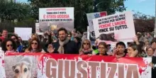Ci sono due indagati per la morte della cagnolina Timida a Siracusa
