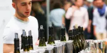 Cantine Aperte 2025, un viaggio nel mondo del vino italiano