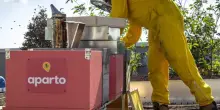 Adottare un apiario per salvare le api, l'Enpa lancia la campagna