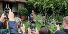 Al Chelsea Flower Show giardino a misura di cane (e di re)