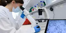 Trovata una via per superare la resistenza ai farmaci del glioblastoma