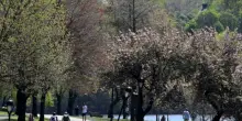 Sparatoria al Memorial Day di Filadelfia, due morti e otto feriti