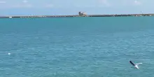 Qualità delle acque balneabili, la Puglia leader in Italia per il quinto anno di seguito