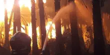 Scoppia il gran caldo al Sud, incendi in Calabria e Sicilia