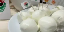 Expo, la mozzarella Dop campana sulle nuove rotte dell'export