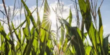 Arrivano nuove piogge al Nord. Caldo intenso al Centro-Sud