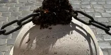 Sciame d'api su un pilone di marmo. Paura a Montecitorio. L'esperta: "Sono disperate, cerc...