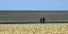 Sostenibilità, le imprese italiane corrono (non tutte) verso il futuro