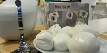 Mozzarella Dop, il Consorzio alla fiera Anuga di Colonia
