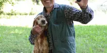 Leo, il cane cieco campione nella ricerca dei tartufi vince il premio cinema