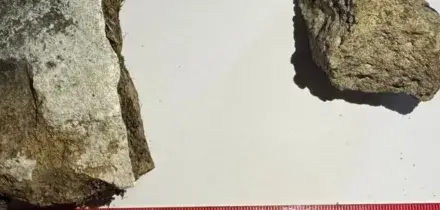 “Le volevo per la mia collezione”: turista denunciato a Pompei per furto di reperti