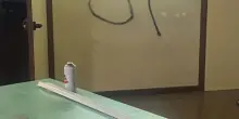 Raid vandalico al liceo Da Vinci di Genova: danni e svastiche sulle pareti