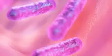 Botulino, c’è una seconda vittima in Sardegna. Qual è il trattamento e la prognosi per l’intossicazione - ItaliaOggi.it