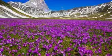 Natura e qualità della vita: un italiano su due vorrebbe vivere in Abruzzo