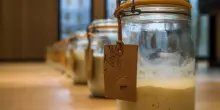 Il pane di Altamura: un’arte antica che va tutelata