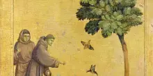 Siamo figli di san Francesco: il nuovo libro di Aldo Cazzullo