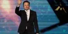 Quanto era importante Musk per Trump