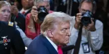 Gli invertebrati del presidente