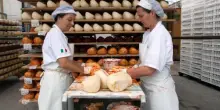 Cresce l’occupazione nell’Eurozona nel primo trimestre 2025 Eurostat; in calo le ore lavorate