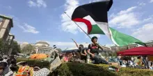 "L'America è in pericolo": cosa c'è dietro il piano del centro studi per eliminare il movimento pro-Pal negli Usa