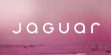 Il rebranding è stato un disastro: Jaguar affossata dal woke