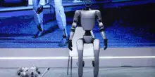 I deliri di Donna Haraway tra cyborg e fascismo