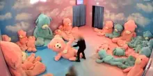Vestita da orso alla mostra per bimbi, presa a pugni da un visitatore