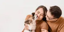 Rivoluzione sugli aerei: animali domestici in cabina