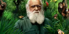 "Darwin spiega la pandemia meglio di chiunque altro"