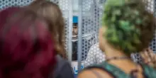 "Ci hanno aggrediti e picchiati". La violenza dei pro Pal all’università di Torino