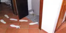 "Chi c'era sulla scena del crimine". La nuova ipotesi sull'omicidio di Chiara Poggi