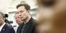 Musk pubblica il test delle urine e il risultato gela tutti
