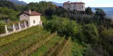 Erbaluce di Caluso, la luce dell’alba
