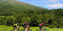 "Dal 2026 riavremo Giro d'Italia e la Milano-Sanremo"
