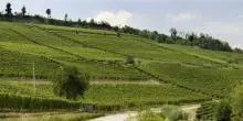 Poderi Luigi Einaudi, degustando la storia