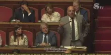"Le donne che fanno figli per poter rubare non sono degne di farli". E scoppia la polemica in Aula