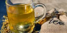 quali sono le tisane fredde da scegliere quando fa caldo