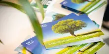 Federlegno, così le aziende investono nella green economy