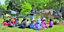 Campus estivi in fattoria tra l'orto e gli animali