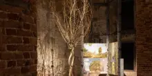 Sostenibilità, Gruppo Saviola: Pannelli Ecologici per Triennale Milano e Biennale Architettura