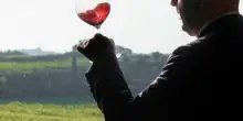 Laqua Vineyard, tra la Toscana e il Piemonte