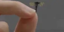 Il drone super stealth della Cina: come funziona il robot zanzara