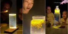 Turmeric trend, cos'è l'acqua magica che illumina (letteralmente) i social network