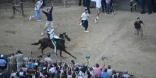 Palio di Siena, vince la contrada dell'Oca. Trionfa Tittia con l'esordiente Diodoro