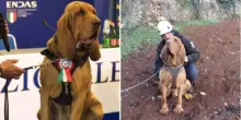 "So chi ha ucciso Bruno". Parla l'addestratore del cane eroe ammazzato coi chiodi